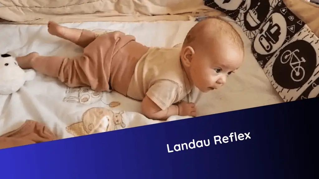 Ein Baby liegt in Bauchlage auf einer weichen Unterlage. Der Kopf ist erhoben, die Arme stützen sich ab – typische Haltung beim Landau-Reflex.