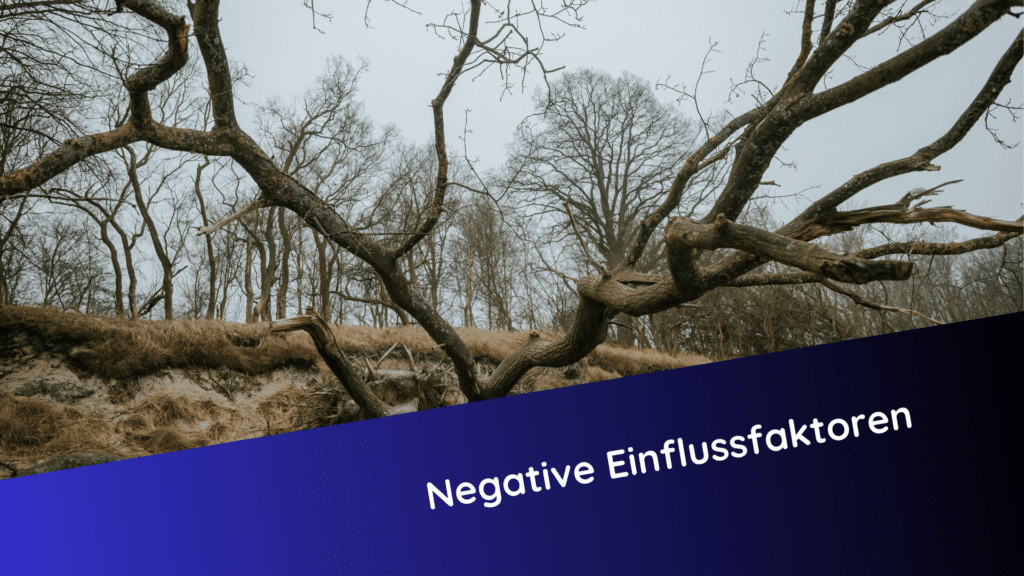 Das Titelbild zum Beitrag "Negative Einflussfaktoren" zeigt eine Landschaft vor grauem nebeligen Hintergrung. Im Hintergrund stehen Bäume; im Vordergrung ein alter, verwitterter Baum mit seinen Ästen die aus dem Bild herauszuragen scheinen.