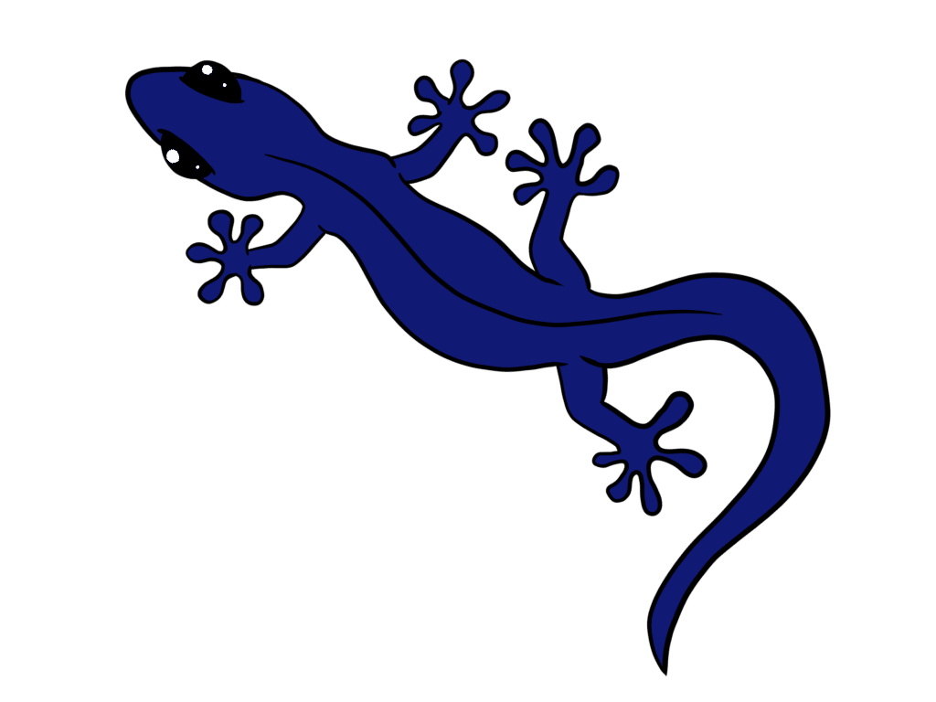 Das Bild zeigt einen blauen Salamander.