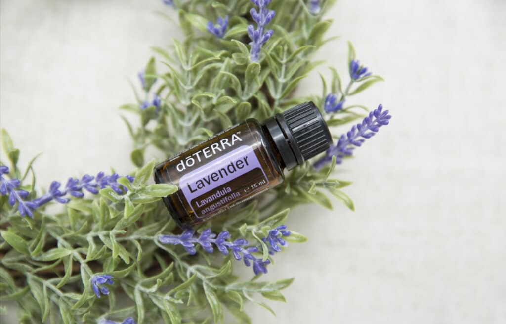 Braunes Glasfläschchen doTERRA Lavender (15 ml) liegt auf einem Kranz aus frischen Lavendelzweigen – natürliche, beruhigende Stimmung