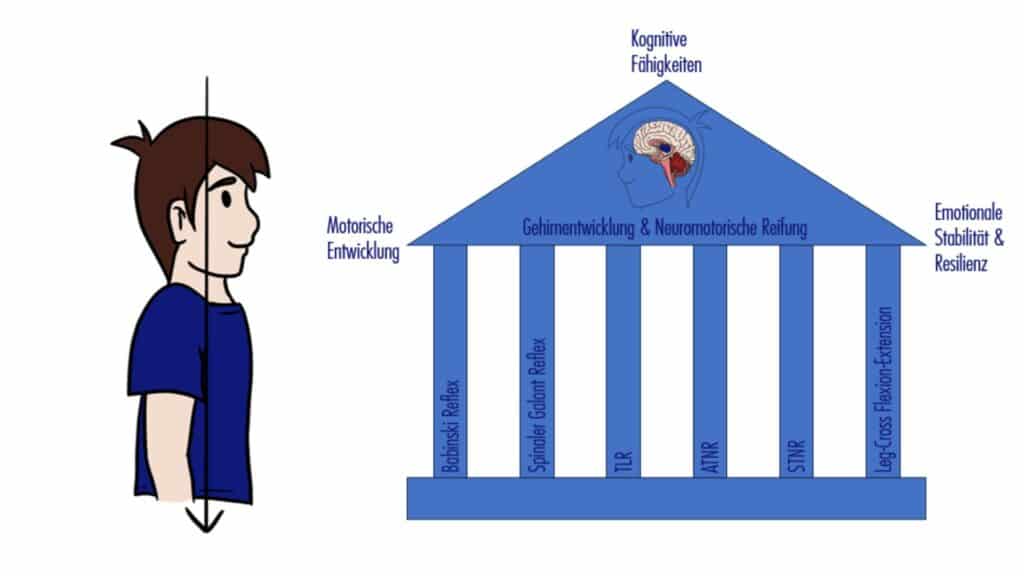 Grafik eines Hauses mit durchgehenden Säulen, die verschiedene frühkindliche Reflexe darstellen. Sie tragen das Dach mit der Aufschrift „Gehirnentwicklung & Neuromotorische Reifung“ – sinnbildlich für ein stabiles Nervensystem.